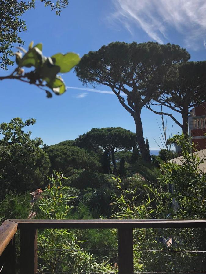 Villa Claire De Lune La Nartelle Σαιντ-Μαξίμ Εξωτερικό φωτογραφία
